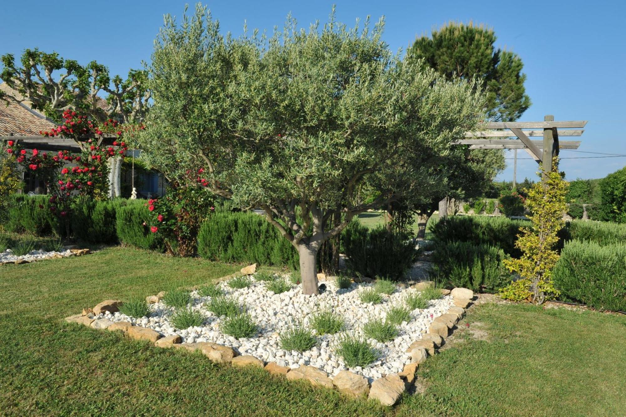 Le Mas Terre Des Anges Sarrians Exterior photo